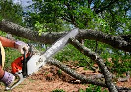 Best Lot and Land Clearing  in Clementon, NJ